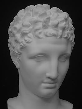 メディチ首像60cm Yahoo!オークション - メディチ 石膏像 高さ約60cm 重さ9Kg